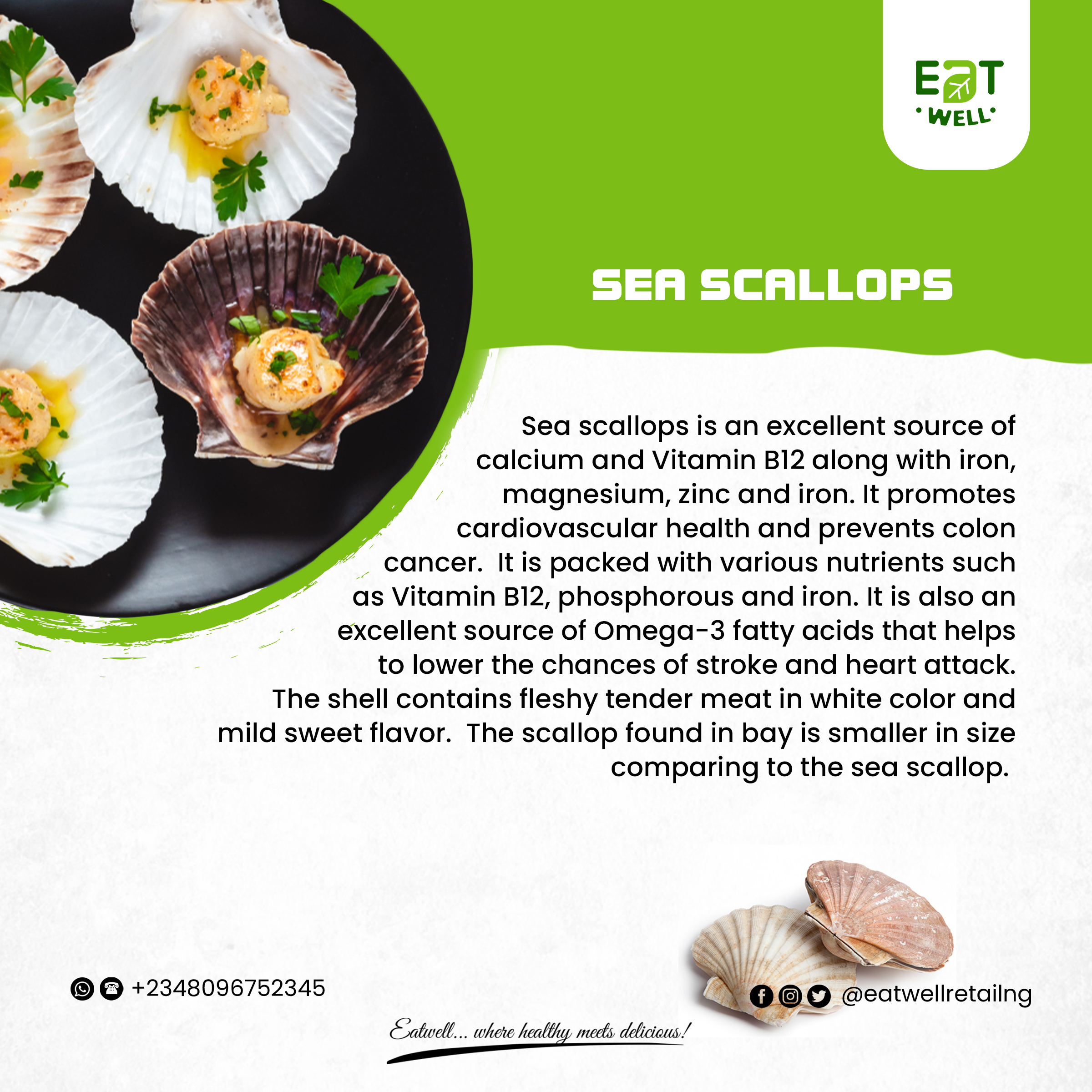 Eatwell sea scallops campaign